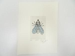 パオロ・メネガッツォ　銅版画　（15/16）